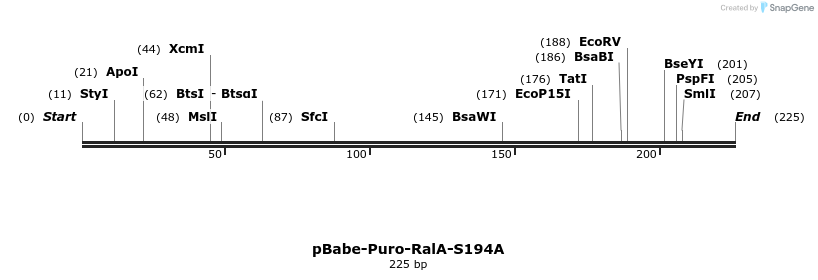 21745_map