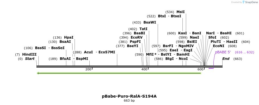 21746_map
