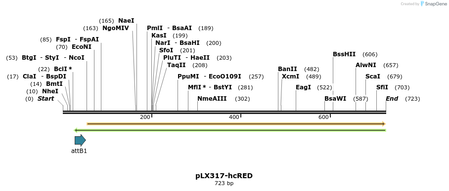 217514_map