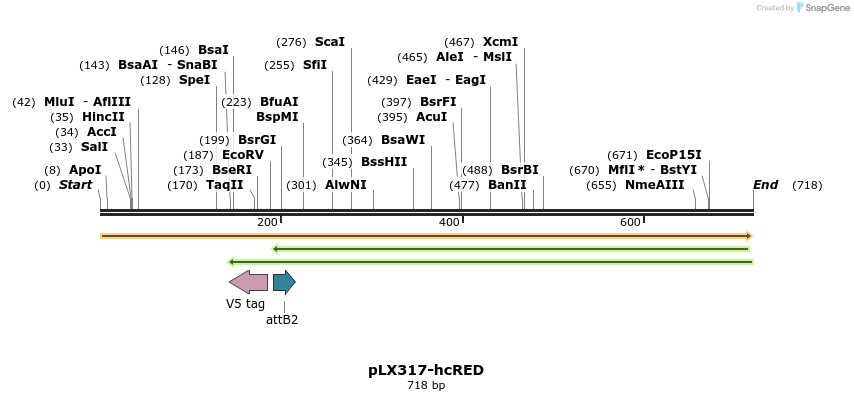 217515_map