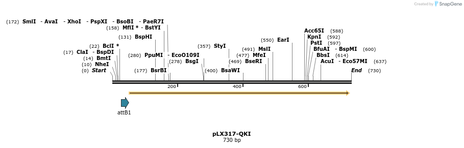 217516_map