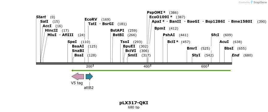 217517_map