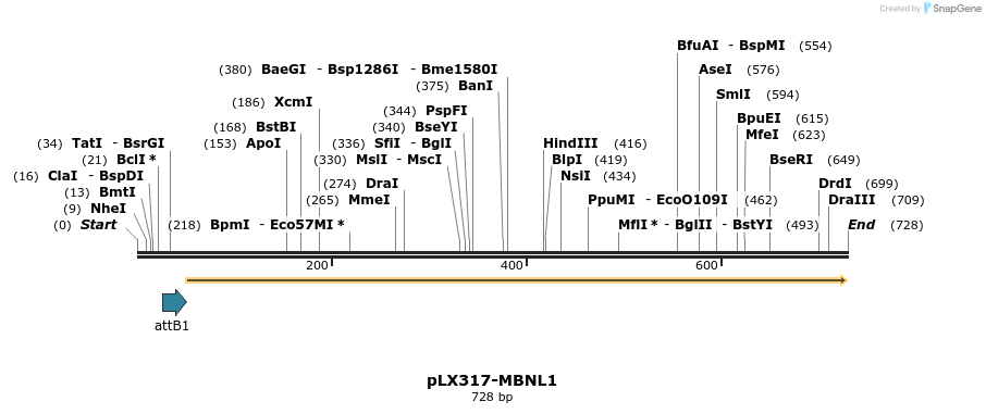 217520_map