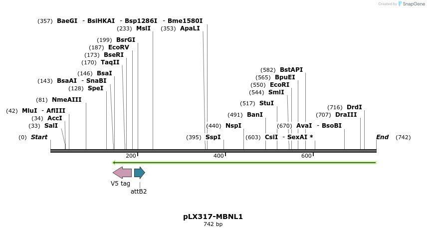 217521_map