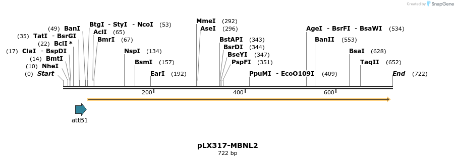 217522_map