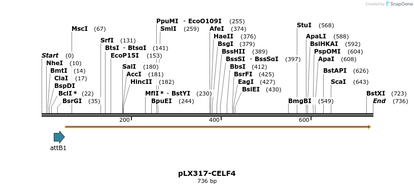 217524_map