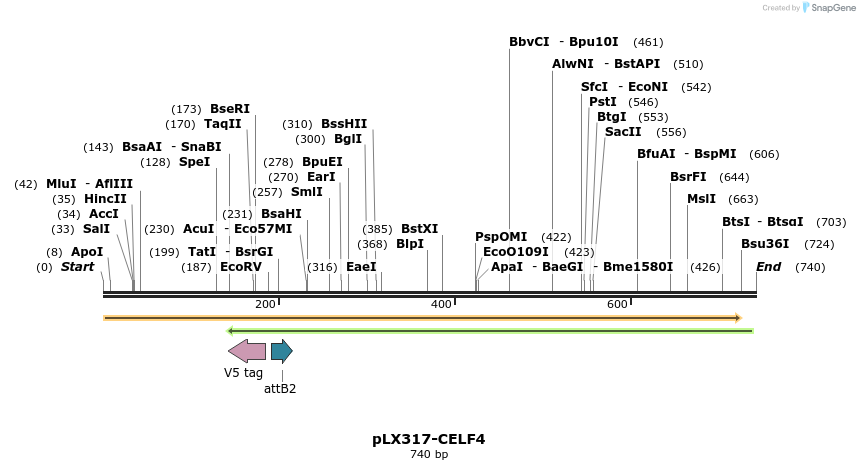 217525_map