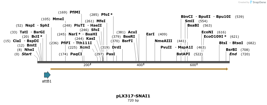 217526_map