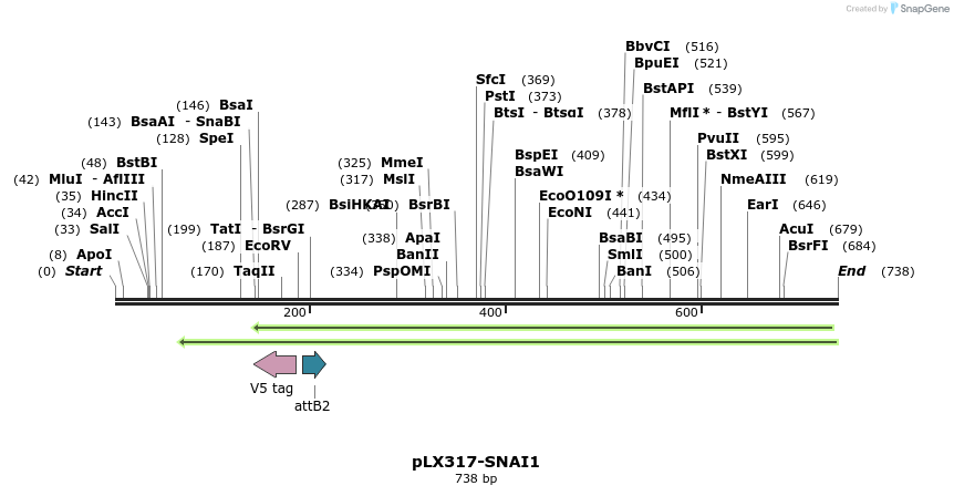 217527_map