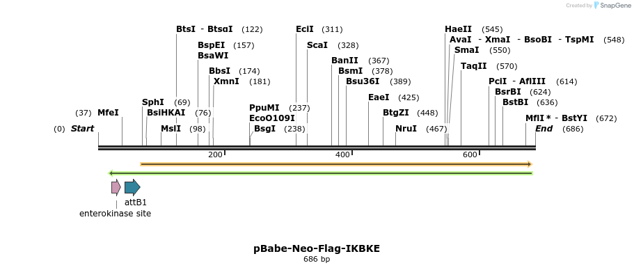 21753_map