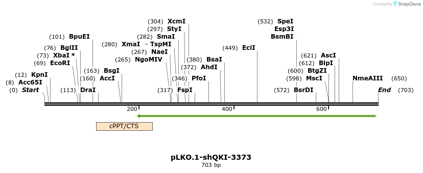 217539_map