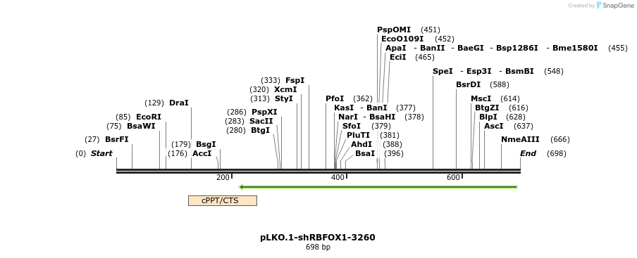 217540_map