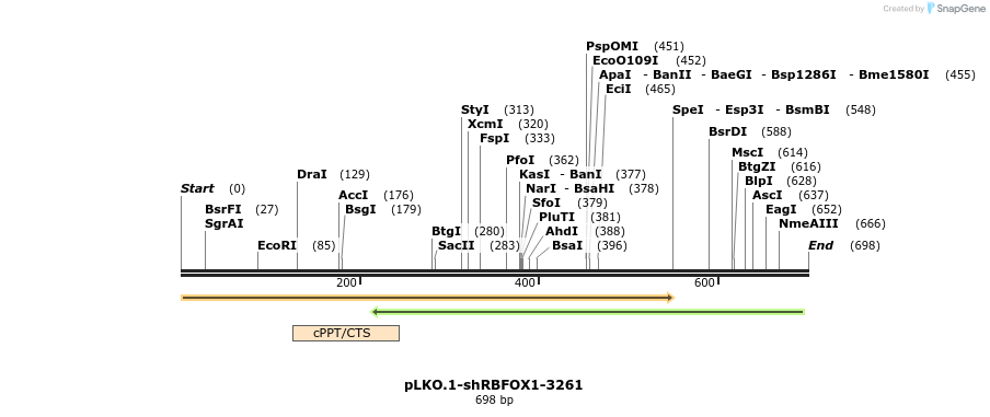 217541_map