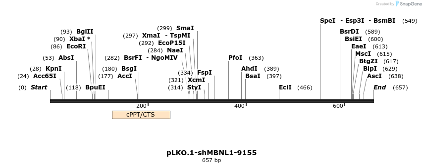 217543_map