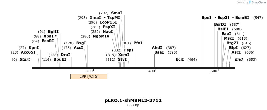 217544_map