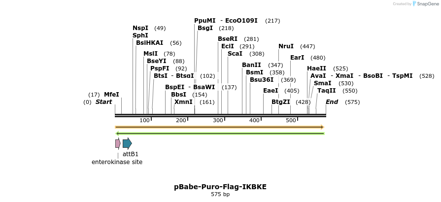 21762_map
