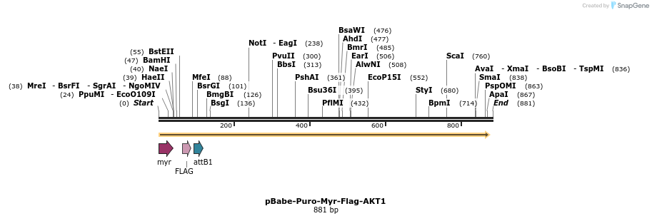 21764_map