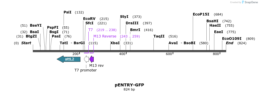 21766_map