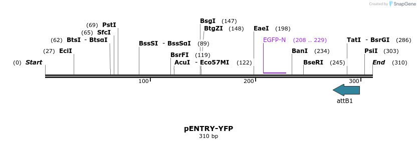 21767_map