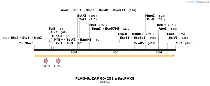 21772_map