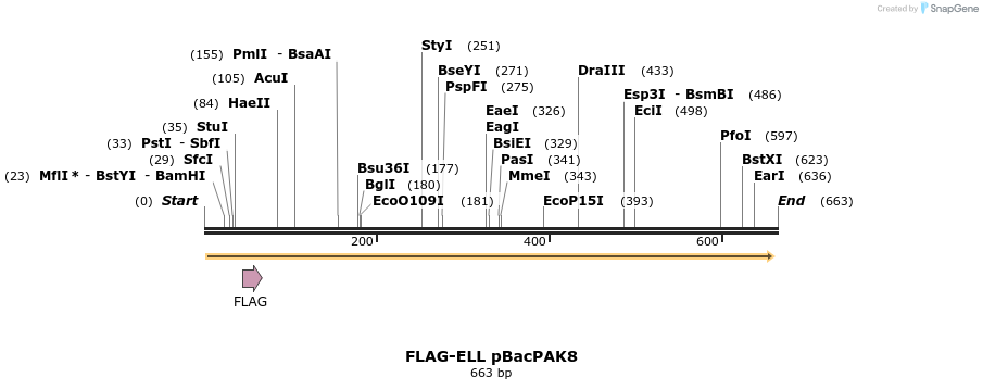 21773_map