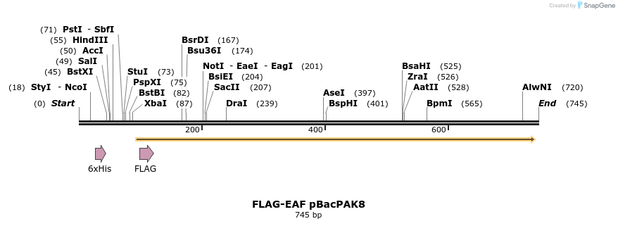 21774_map