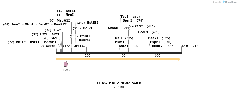 21776_map