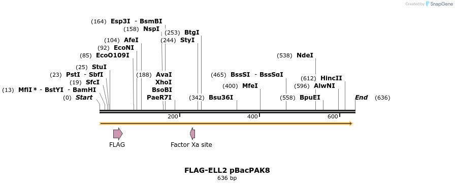 21777_map