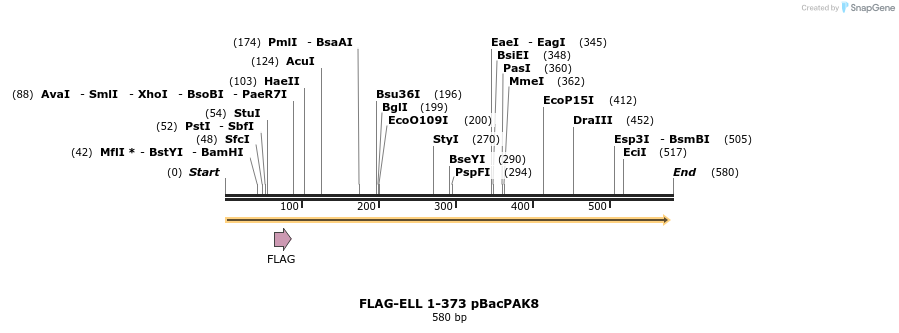 21778_map