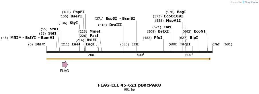 21779_map