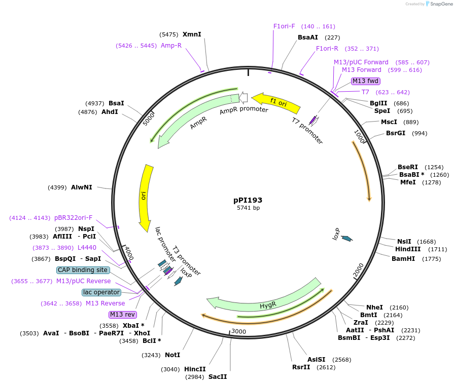 217795_map