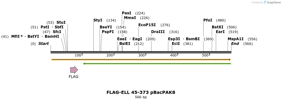 21780_map