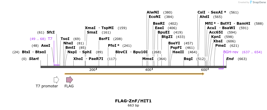 21782_map