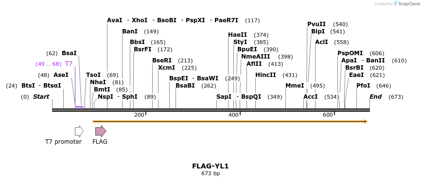 21783_map