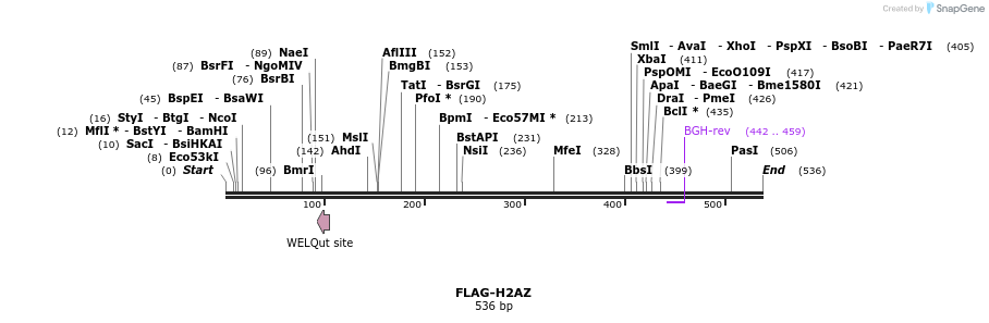 21785_map
