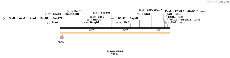21790_map