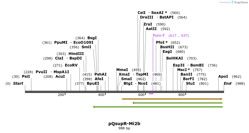 21794_map