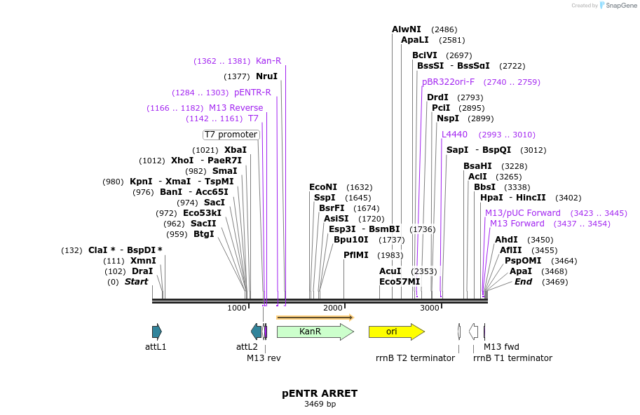 218007_map