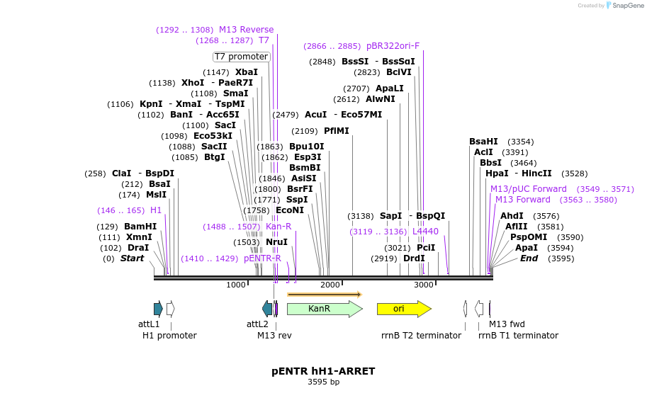 218008_map