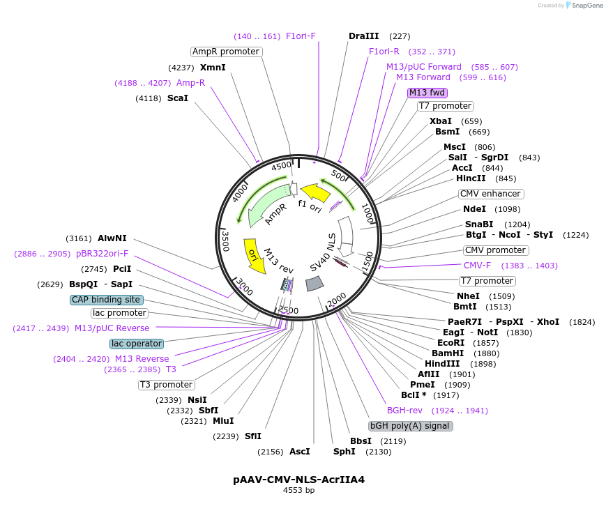 218011_map