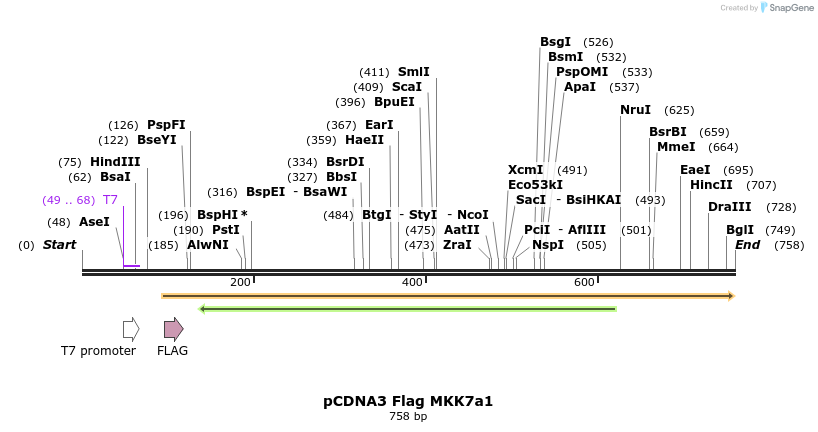 21802_map