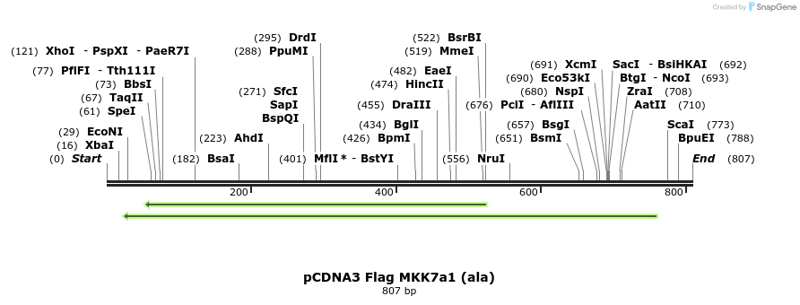21803_map
