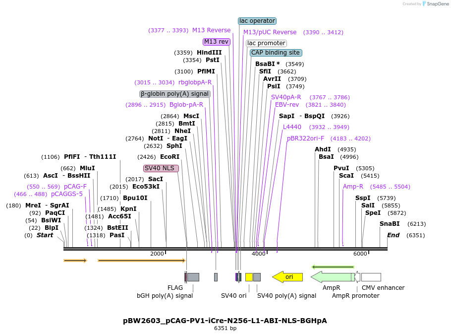 218034_map
