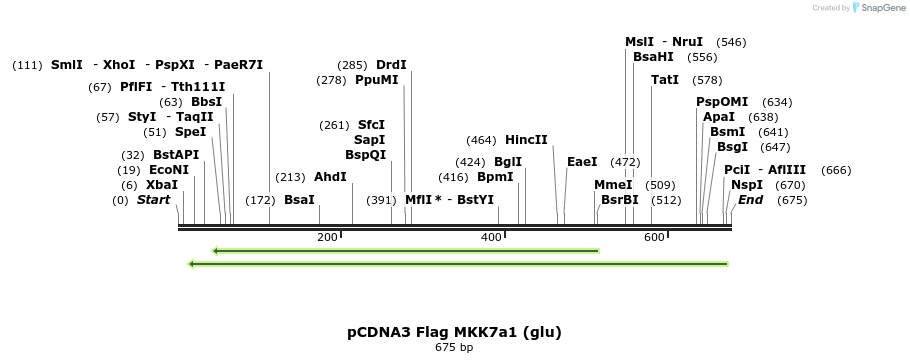 21804_map