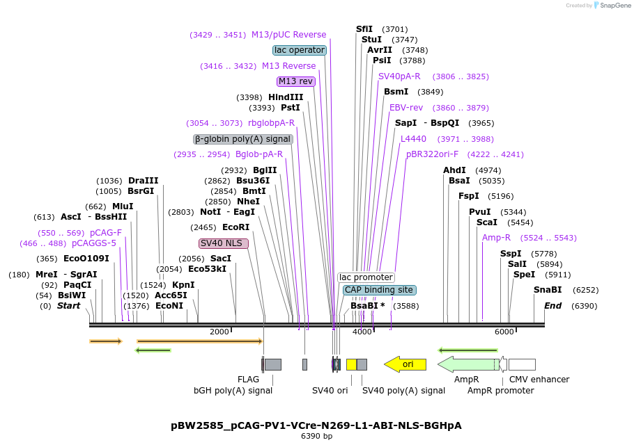 218043_map