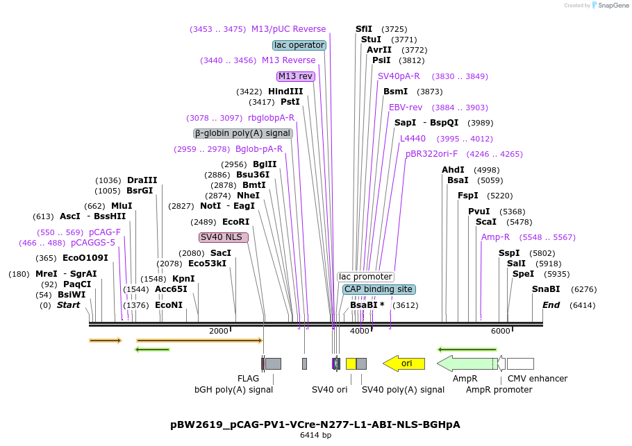 218045_map
