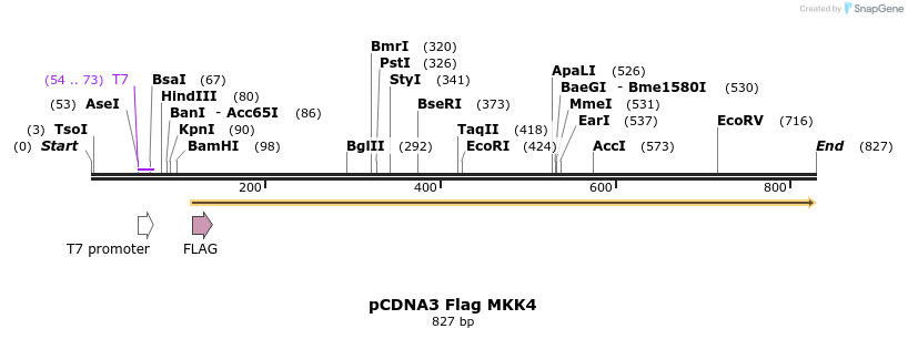 21806_map