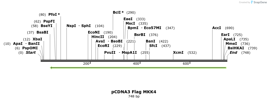 21807_map