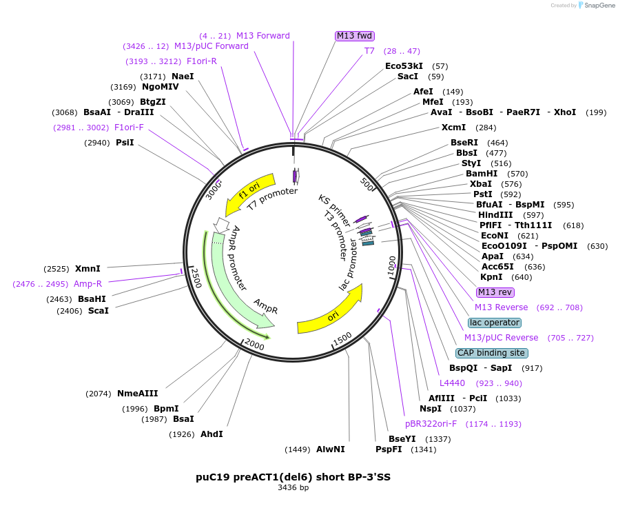 218074_map