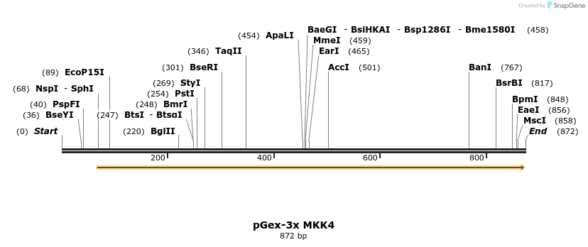 21808_map